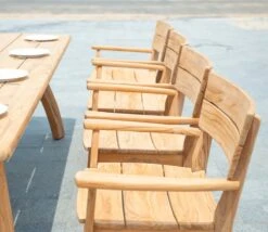 Alexander Rose Sorrento Dining Armchair -Love Garden alexander rose sorrento dining armchair b4d7cbf52d331c6c63bc94ff487f6c98 original