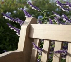 Barlow Tyrie Rothesay 180cm Seat 12 Barlow Tyrie Rothesay 180cm Seat -Love Garden close up of the teak hardwood d118a7a23c3b642958b4847282081312 original