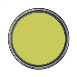DULUX PAINT LUSCIOUS LIME 5LTR VINYL SILK EMULSION