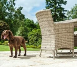 Alexander Rose Ocean Pearl Wave Armchair -Love Garden ocean pearl wave armchair by alexander rose 4e06ae1bdddeb7de5bdbfa8d8616e0d9 original