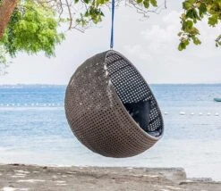 Alexander Rose Monte Carlo Hanging Chair
